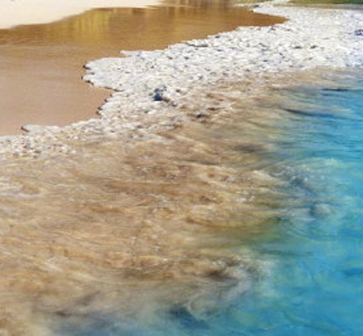 怎么分享无线网密码