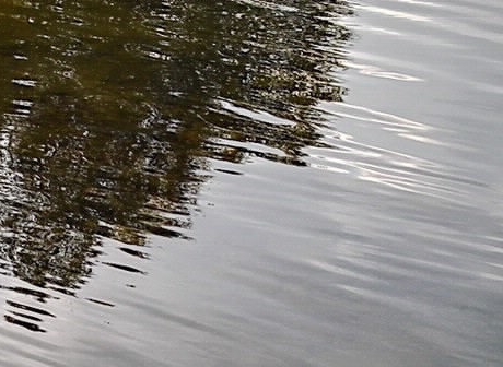 android分享功能实现