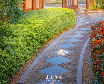 路饭会员分享中心办理攻略及迅雷激活码免费领