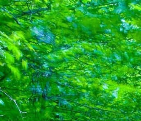 优秀家长教育经验分享：卓越家长教育经验分享的秘诀