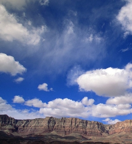 如何分享爱奇艺会员