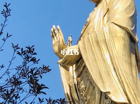 抖音分享微信