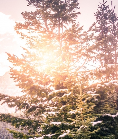 注册会计师备考经验分享