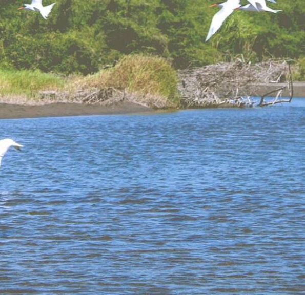 注册会计师备考经验分享：揭秘注册会计师备考经验与注会会计经验分享
