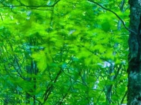 6到7岁舌系带手术分享