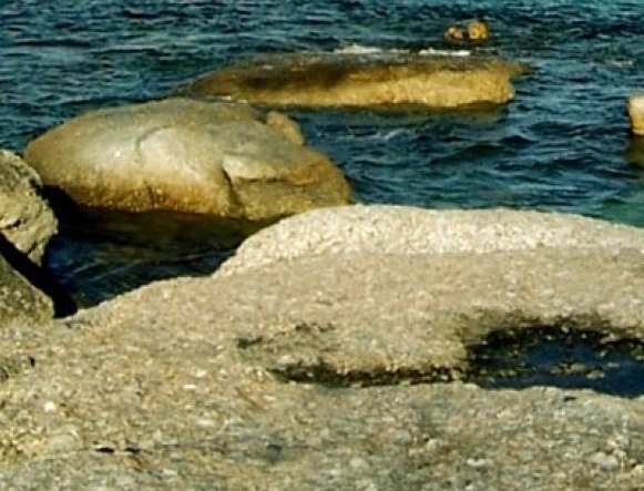 迅雷会员分享器