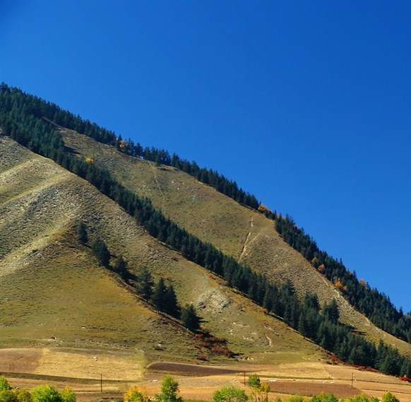 迅雷会员分享器:迅雷会员共享神器,享受免费特权