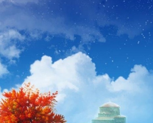 司法考试经验分享：司法考试成功经验分享