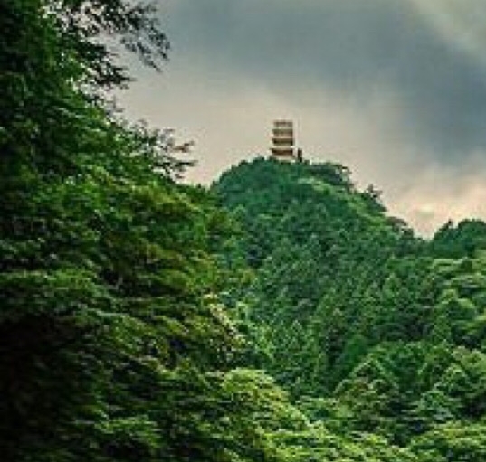 不吝分享