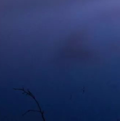 理财经理经验分享：理财经理的智慧启迪与全新实践