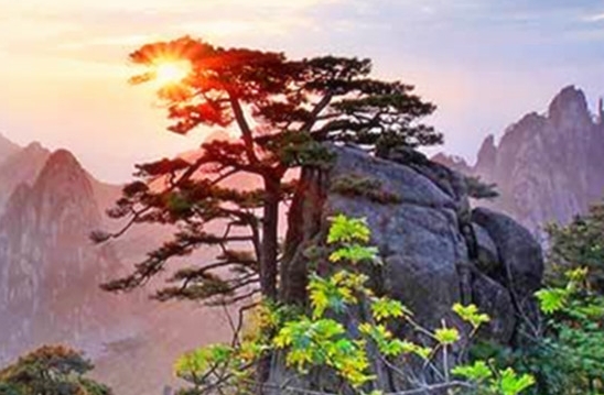 微信公众号分享图片