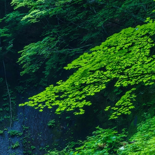 怎么分享微信群：微信群分享技巧：建群、拉人、生成二维码、分享记录
