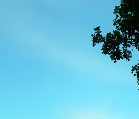 分享日常