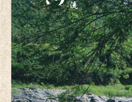 分享聊天记录qq：聊天记录分享攻略：QQ、钉钉、微信等神器在线使用方法