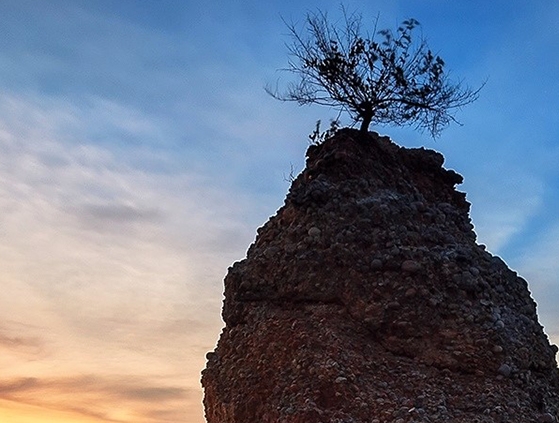 无线网密码怎么分享给朋友