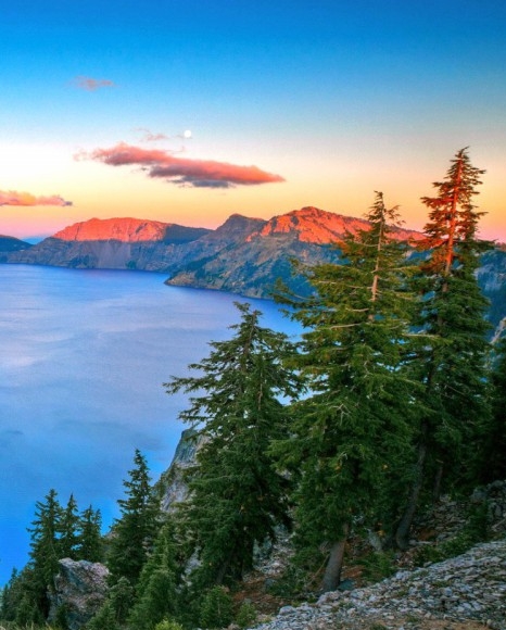 分享快乐作文600字：快乐分享：外公钓鱼与小朋友的欢乐互动