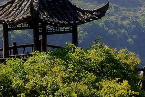 两个微信怎么指定分享：独家技巧：一个电脑同时登陆多个微信账号指南