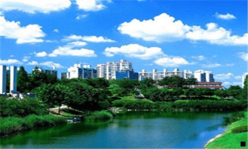 二粉象生活团队排行榜