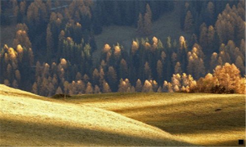 一加油用粉象生活真的省钱吗