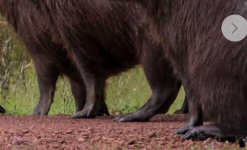 一粉象生活如果没有邀请码可以注册吗