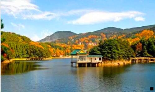 三粉象邀请码可以改吗