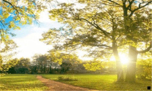 三粉象生活怎么解绑邀请码