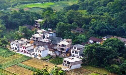 二粉象为什么用邀请码