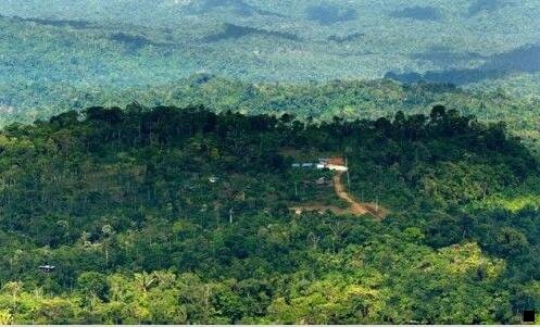 二马云如何评价粉象生活的