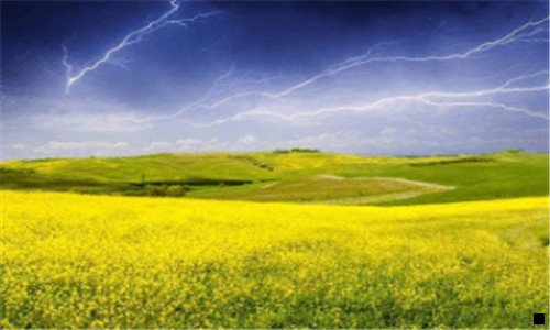 一简书 粉象生活 阿善