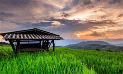 二今年双十一成交数据