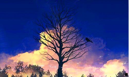 一粉象生活里的邀请码