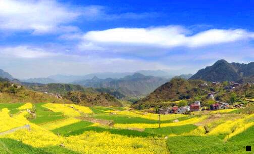 二粉象生活怎么提现佣金