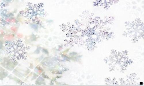 二粉象生活其实不便宜
