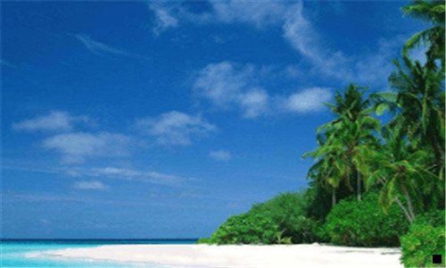 一粉象生活邀请码559252佰