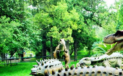 一饿了吗在粉象生活怎么用卷