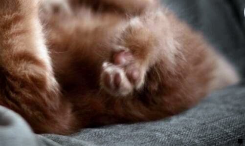 一粉象生活负责是谁