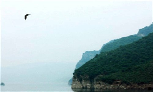 三粉象生活怎么点外卖