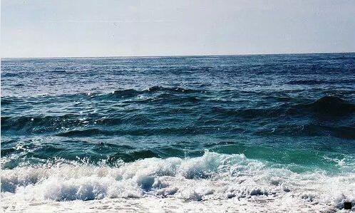 一粉象生活 好省