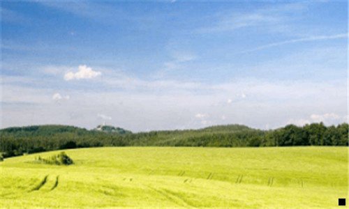 三纠结用花生还是粉象