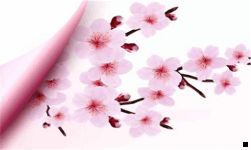 一粉象生活独家优势