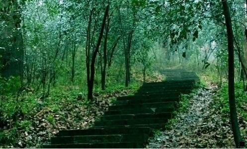 一粉象生活注册步骤