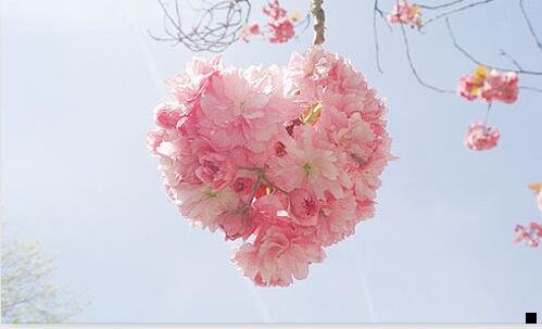 一粉象生活颁奖