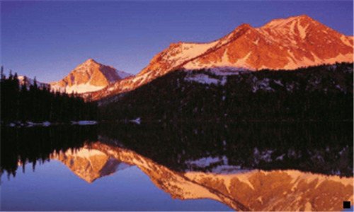 二粉象生活邀请码