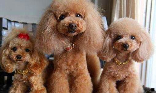 三粉象生活能看到下线买了什么