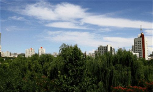 三可以在闲鱼上推荐粉象生活