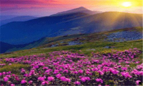 一粉象生活VS花生日记