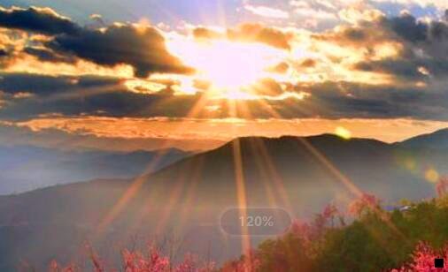 一粉象生活店铺