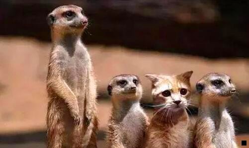 一粉象生活官方邀请码. bneqg7