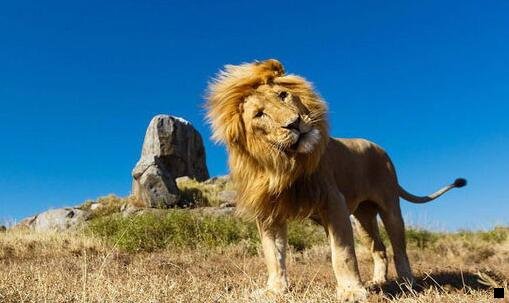 一粉象生活拉新注册的多少佣金