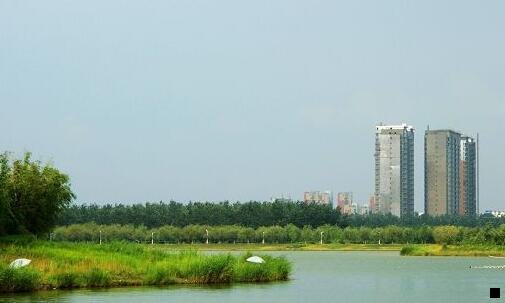 一粉象生活广州分公司